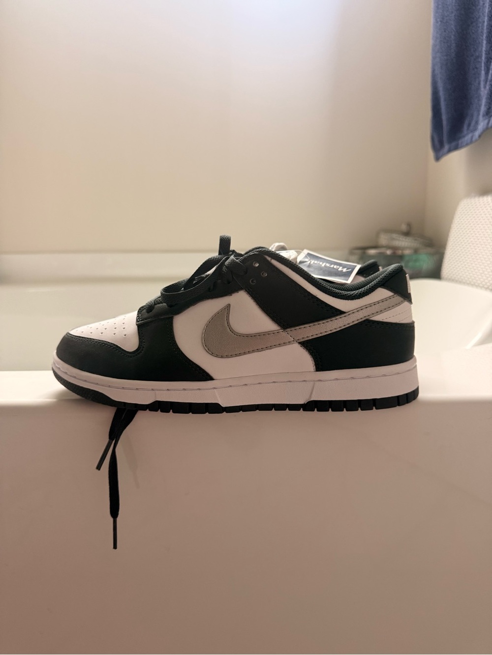 Nike Dark Teal and Silver Dunks